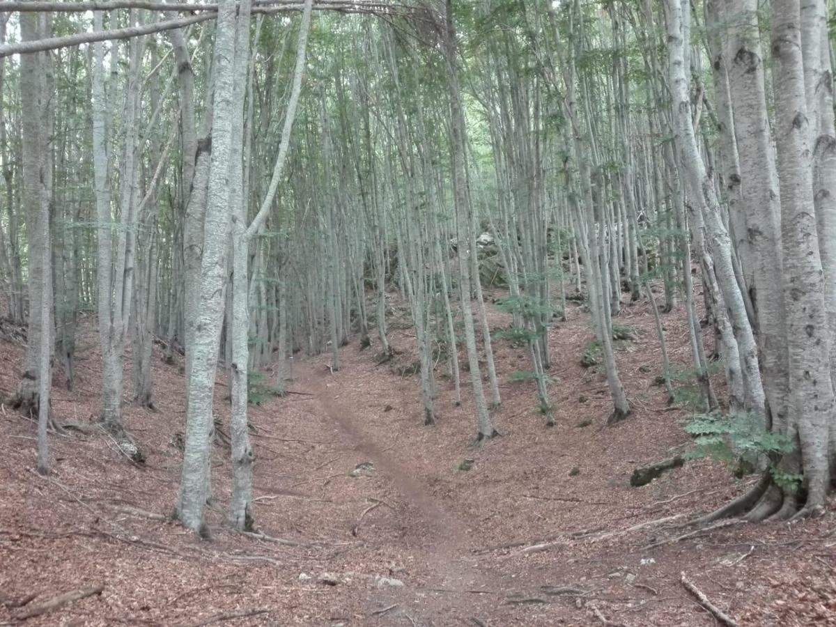 Affittacamere Da Morena Gorfigliano Buitenkant foto