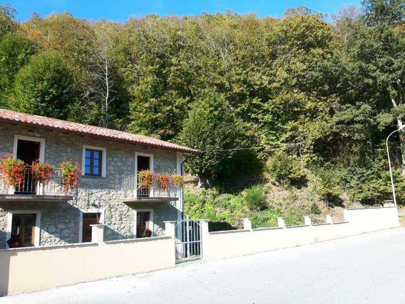 Affittacamere Da Morena Gorfigliano Buitenkant foto